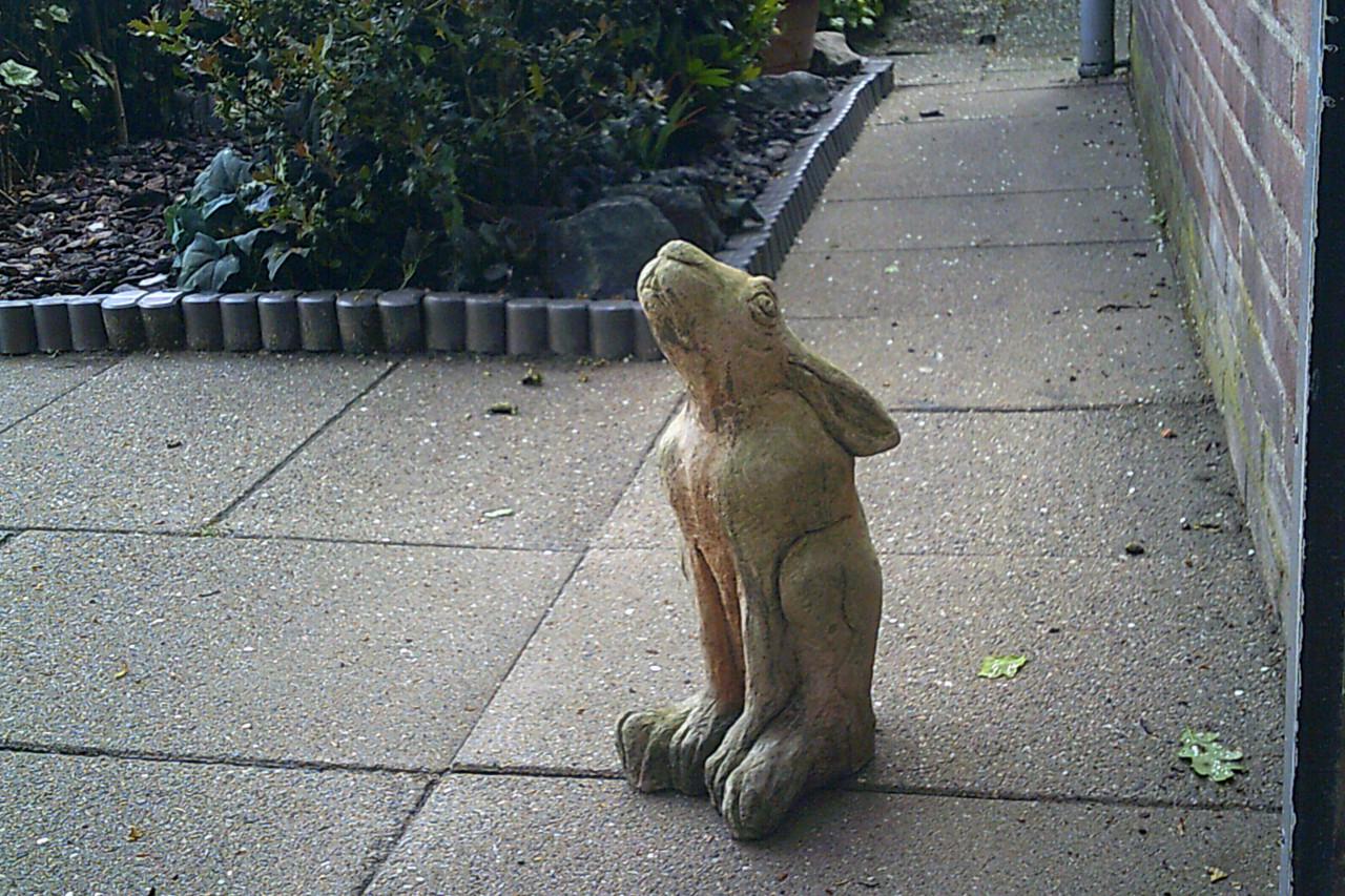 TUINBEELD - moon gazing hare ...