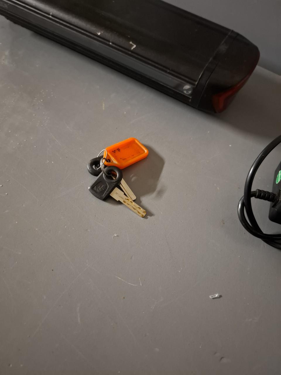 Stella livorno elektrische herenfiets