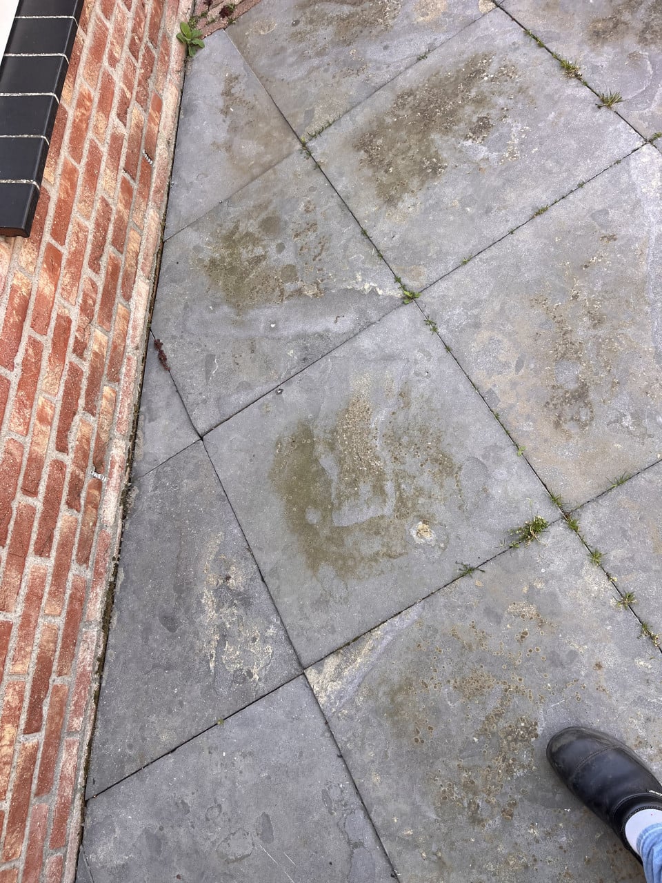 Terras tegels gratis afhalen