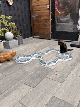 Katten speelbaan met balletjes