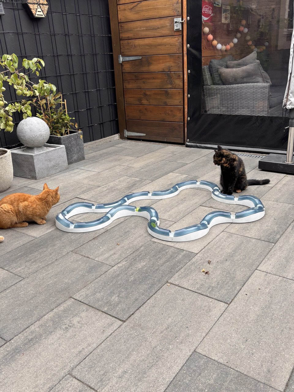 Katten speelbaan met balletjes
