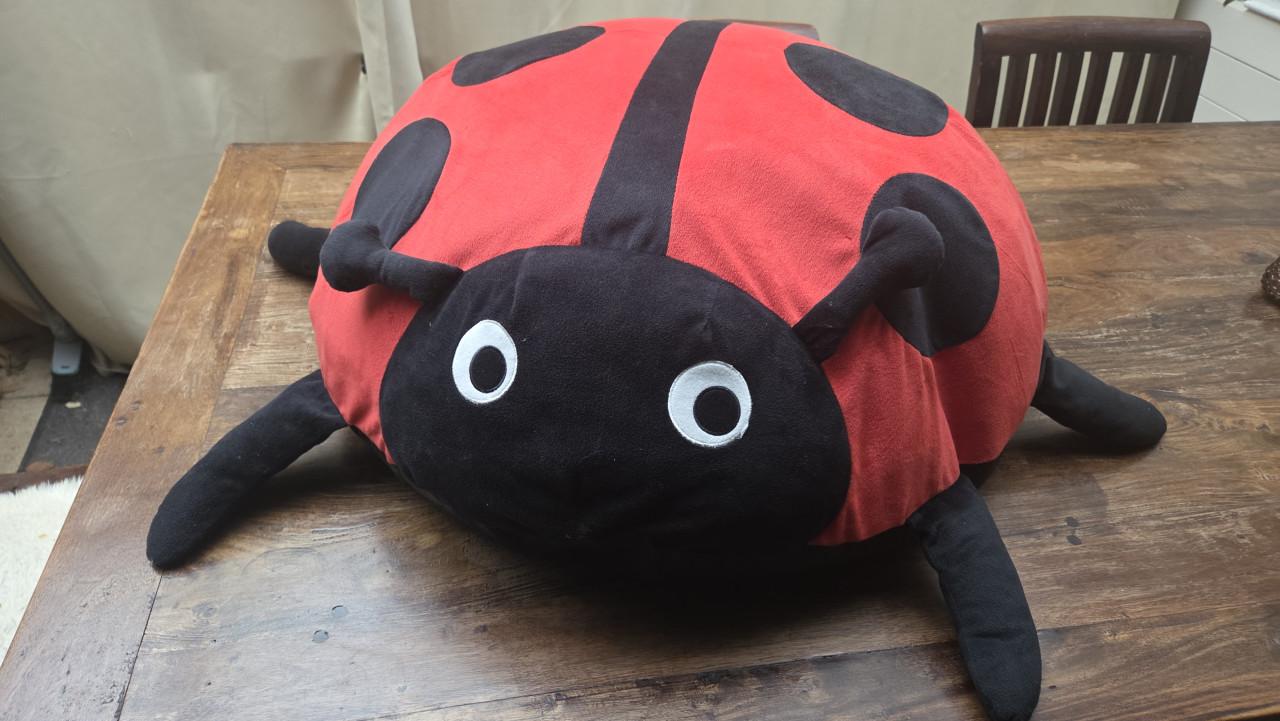 Grote lieveheersbeestje knuffel