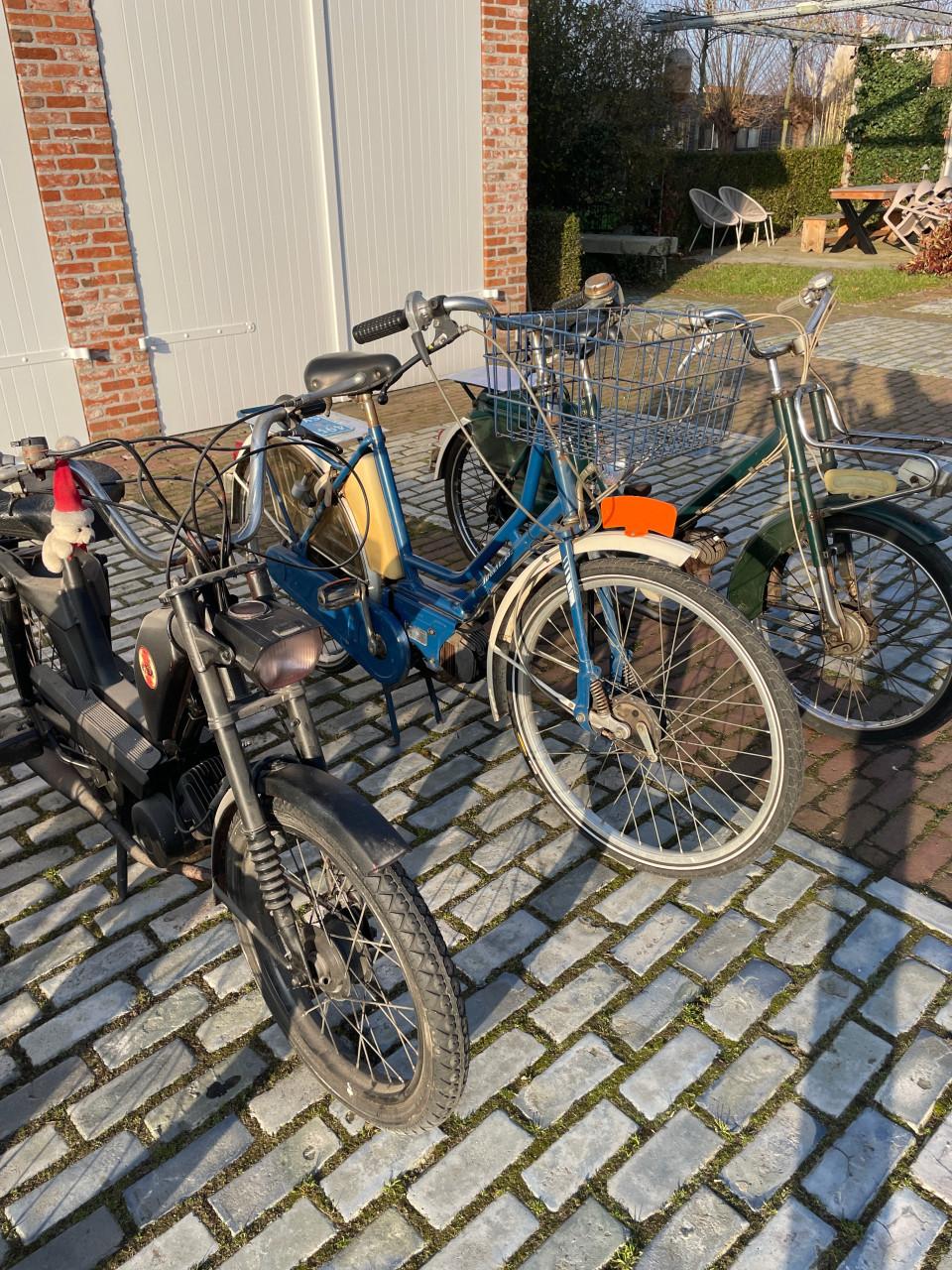 Brommertjes 10 stuks in 1 koop 2000€