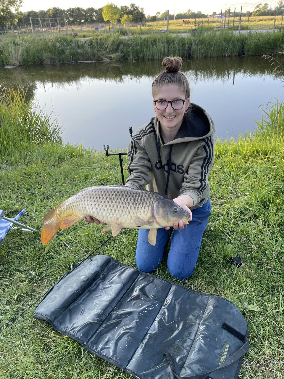 Grote karpers vangen in een mooie karper gebied op Walcheren € 17,50