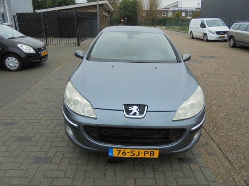 407 2.0 - 16V goede nette conditie van derde eigenaar , Apk nieuw bij koop