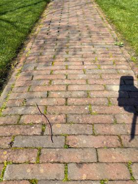 Rode gebakken klinkers waalformaat