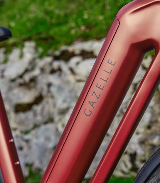 Nieuw de exclusieve Gazelle Eclipse C380 HMB met 750 Wh accu