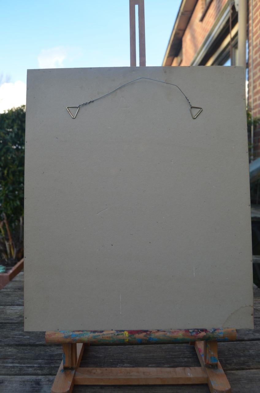 Gravure 19e eeuws van een specht, wel mooi eigenlijk