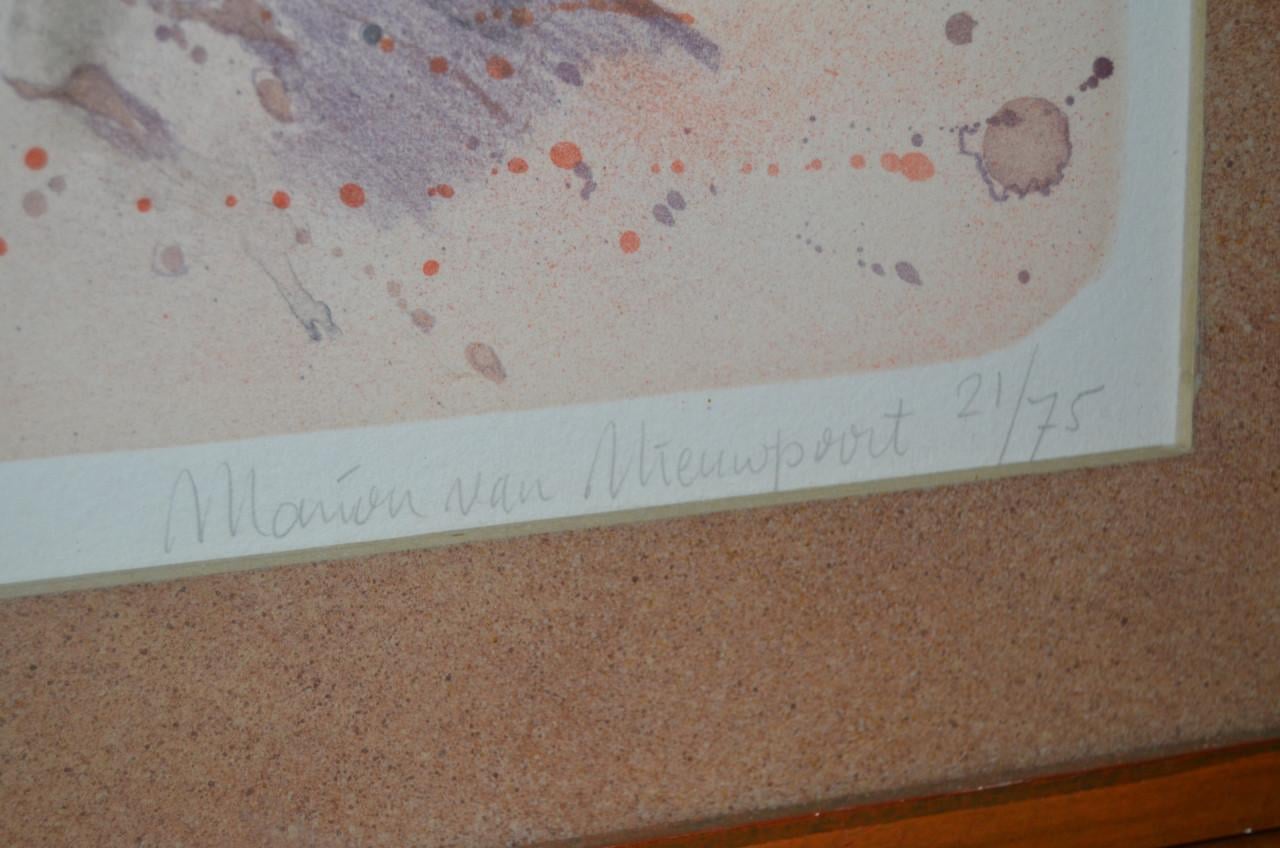 Grote litho Zee-land Marion van Nieuwpoort 21/75