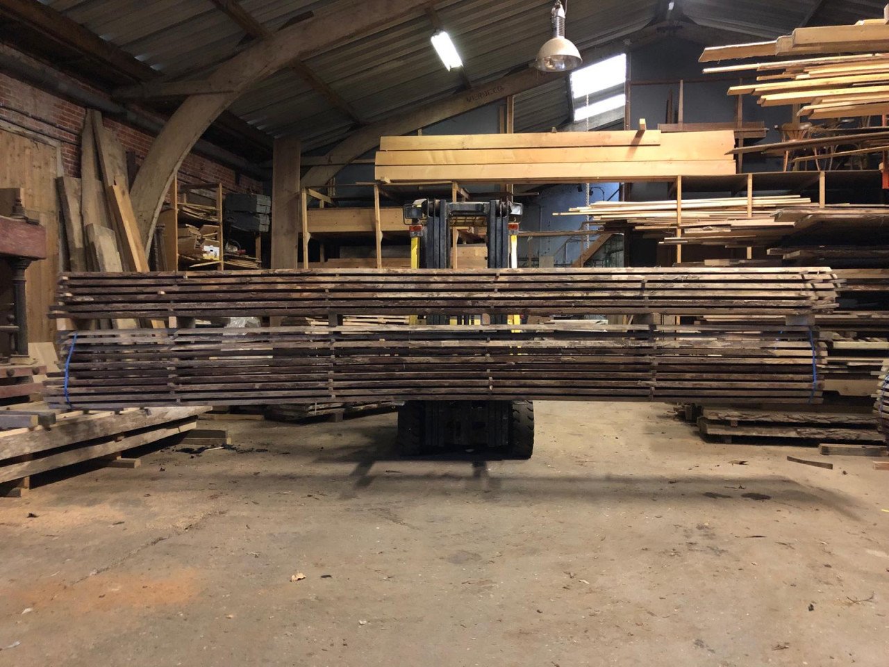 Zeeuwse Iep / Olm stam, hout voor meubels en interieur