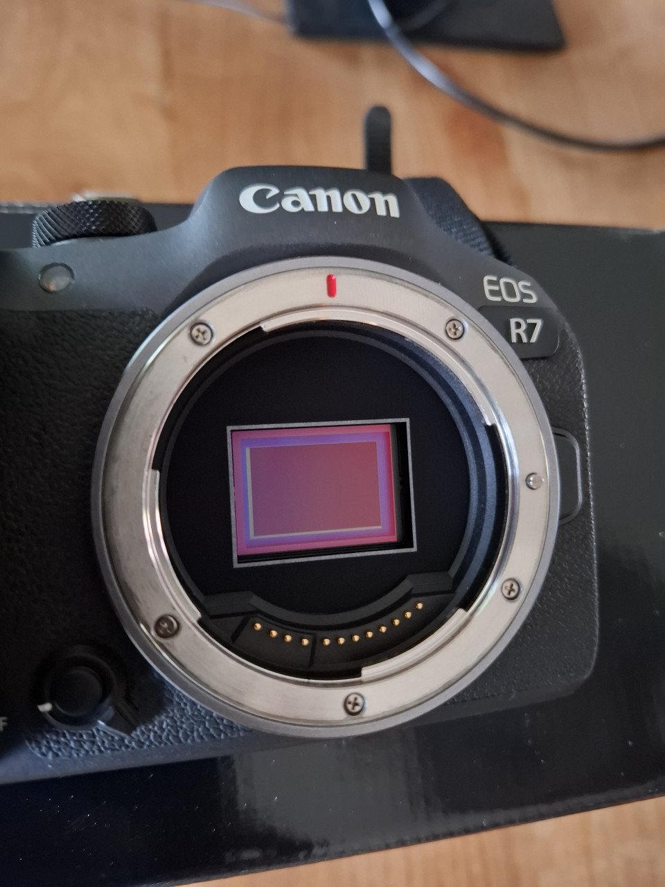 Canon R7 body