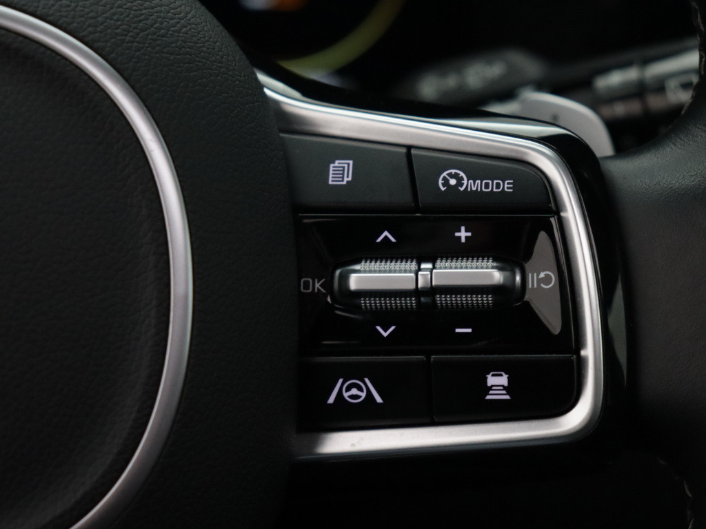 Kia Sorento 1.6 t-gdi hybrid 2wd executiveline 7p. | leder | trekhaak | nav
