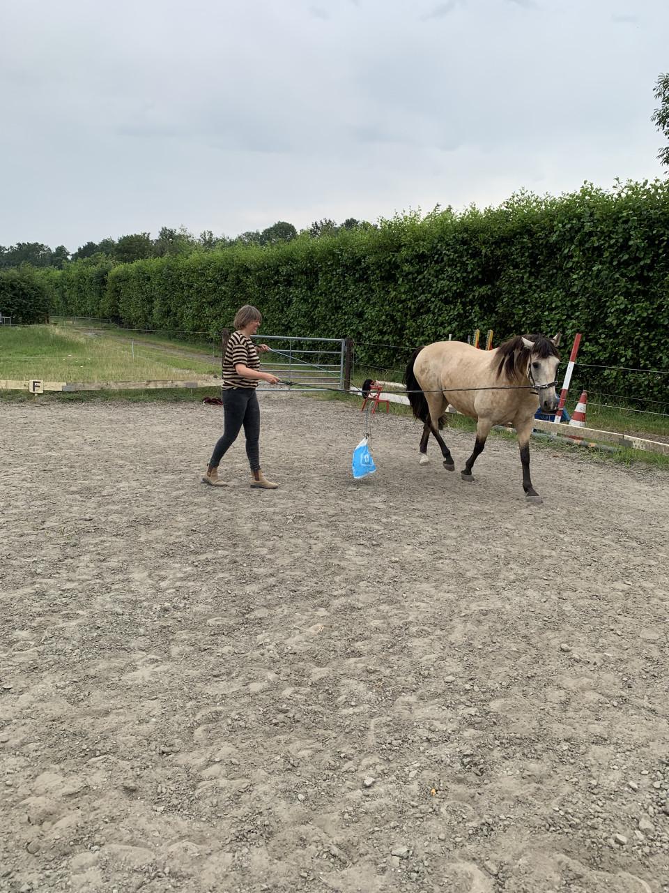 #Equi Pride# Grondwerk, rijden, gedrag, ESDr etc.