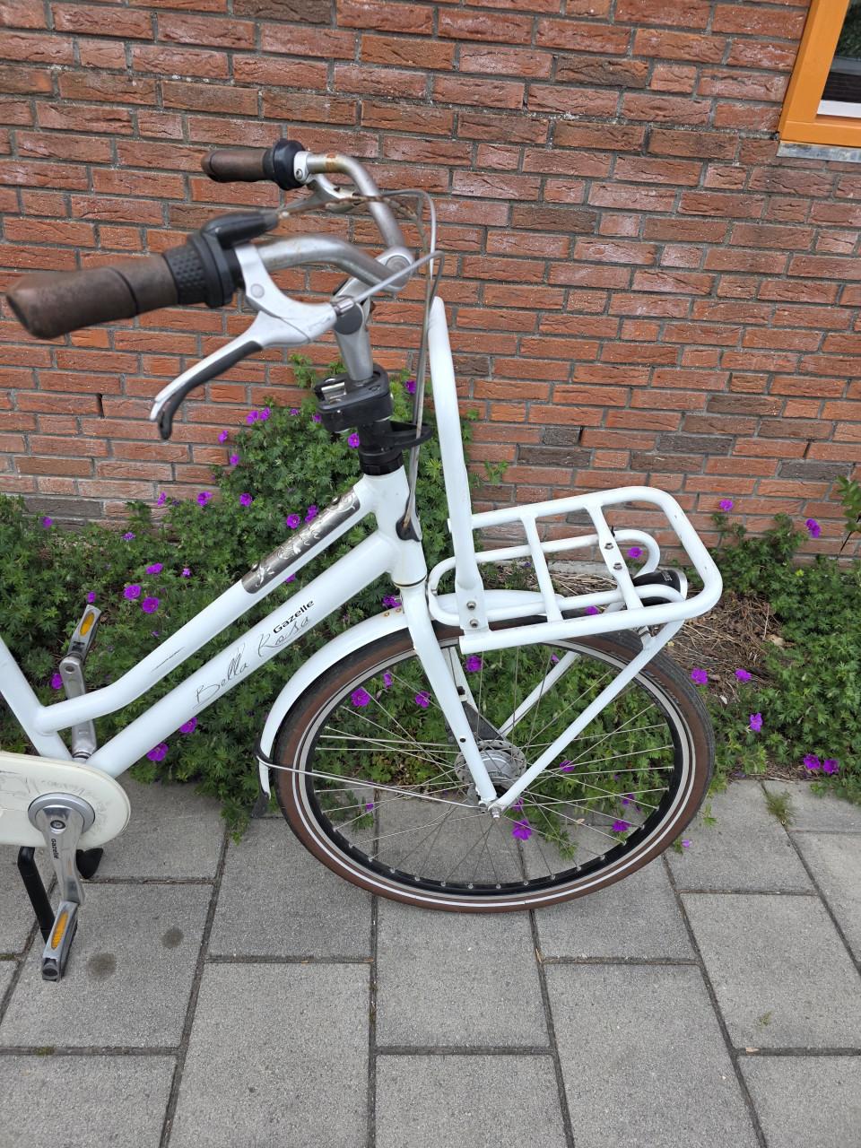 GAZELLE | BELLE ROSA 28 INCH | 56 CM | NEXUS 3