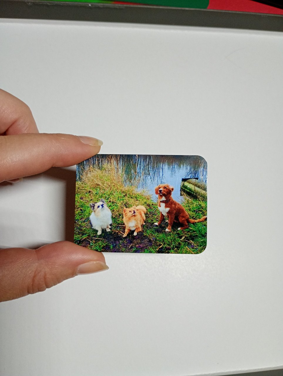 Verschillende gepersonaliseerde kadotjes voor een kleine prijs!
