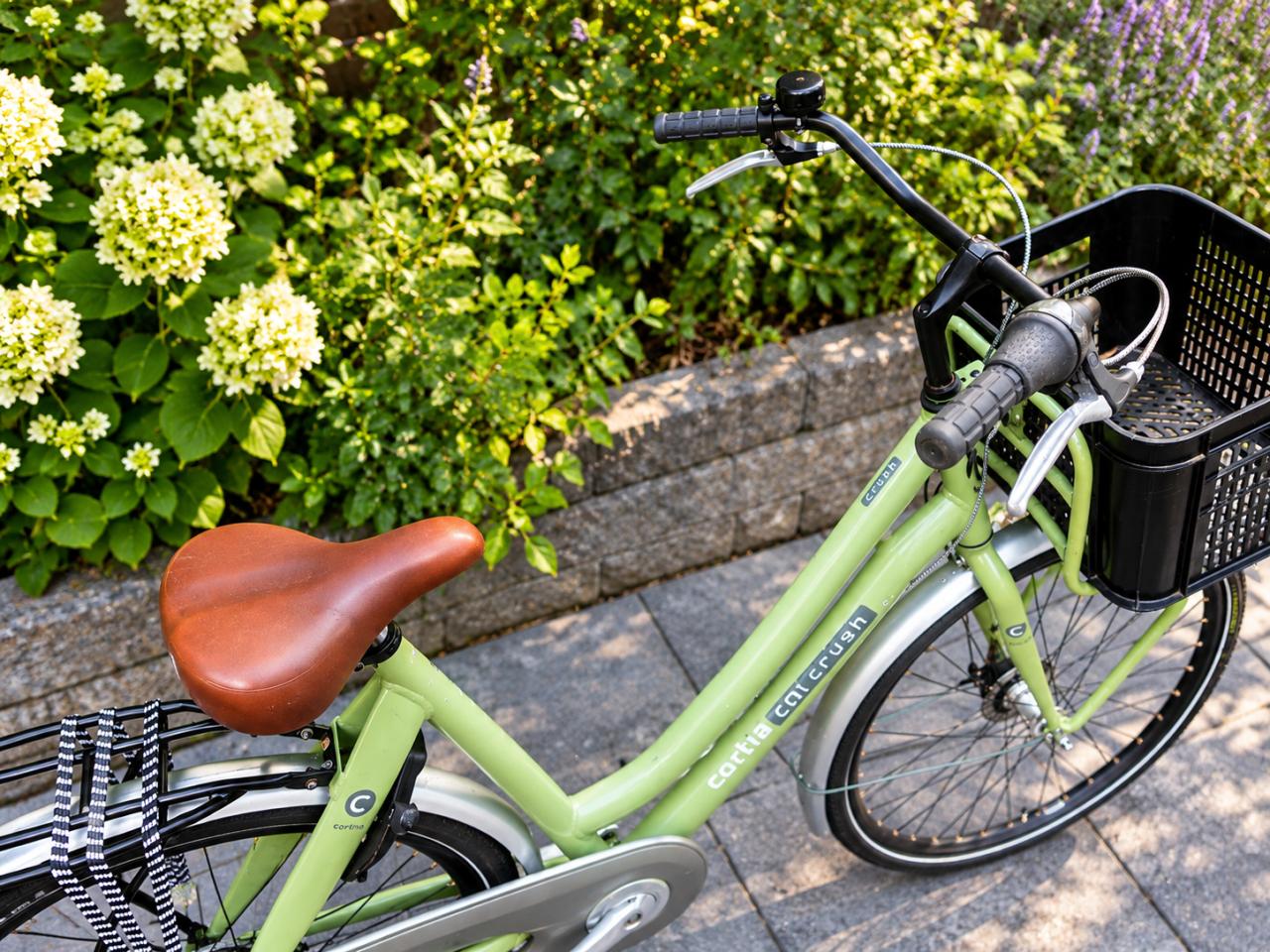 🚲 Cortina Crush Damesfiets 28 Inch | 7 Versnellingen | Frame 57