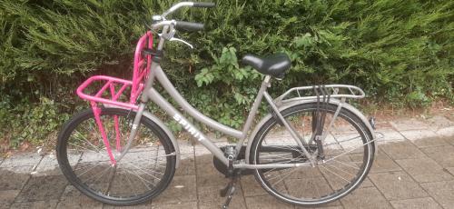 Espirit Cargo stationfiets