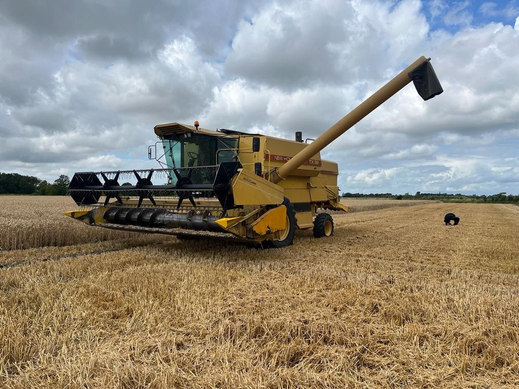 New Holland TX36 maaidorser