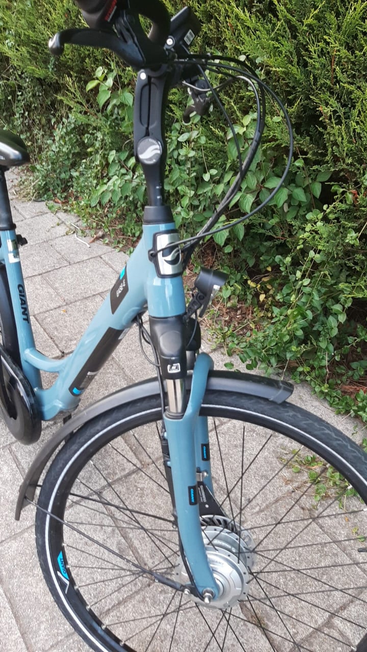 Giant Ease-E kleinere damesfiets!