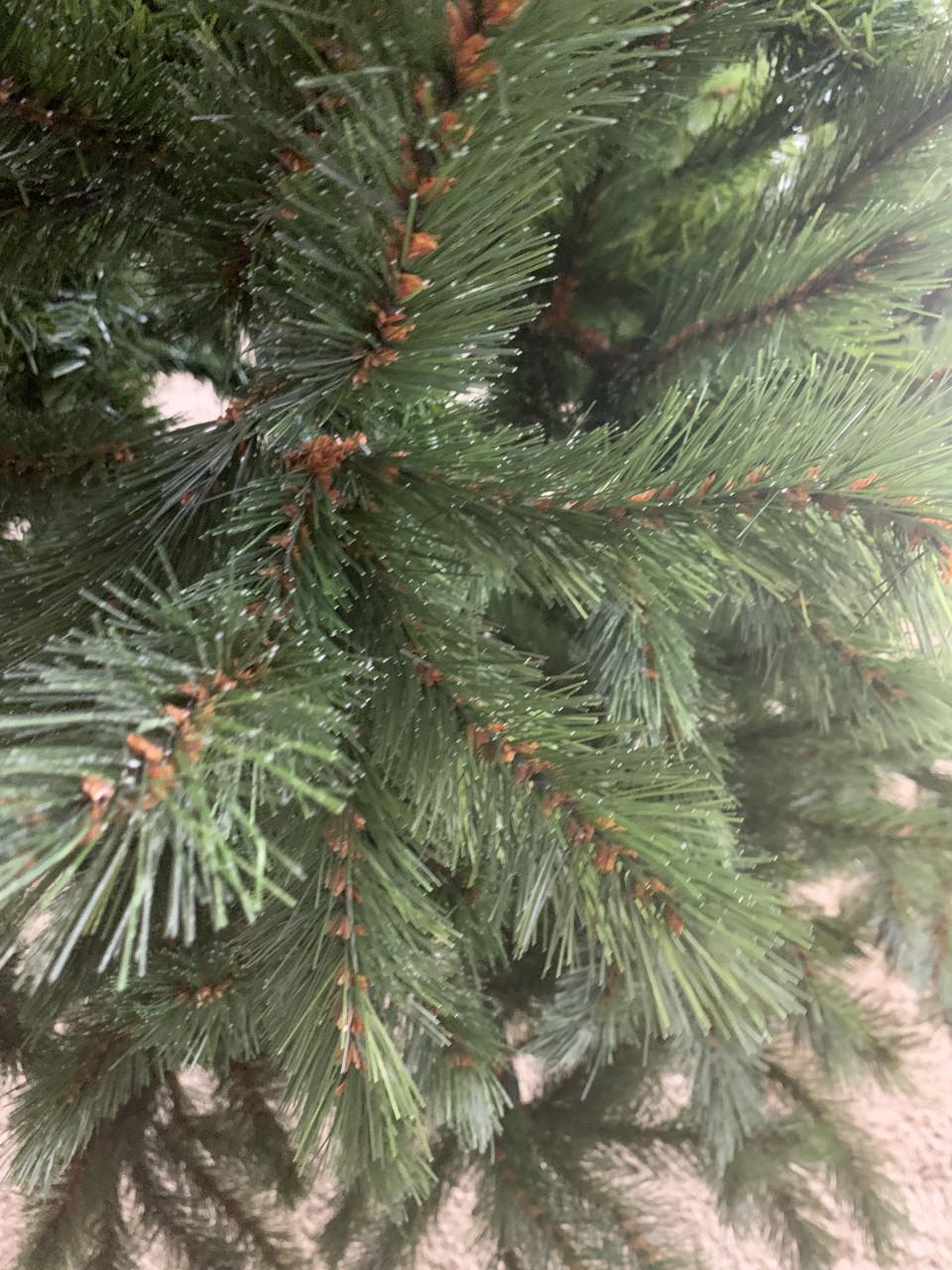 Kerstboom2.30 m hoog  Triumph tree