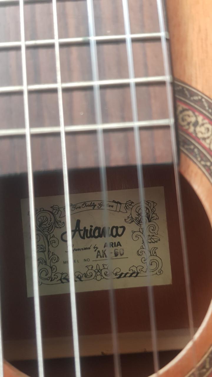 Gitaar Ariana AK-60