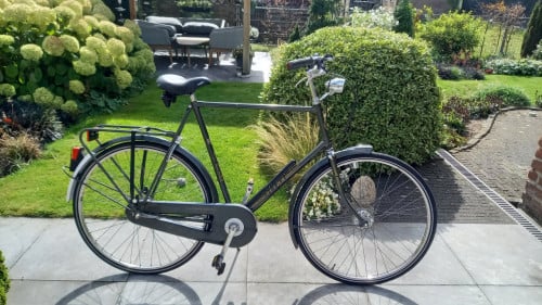 Hoge altra 63 cm