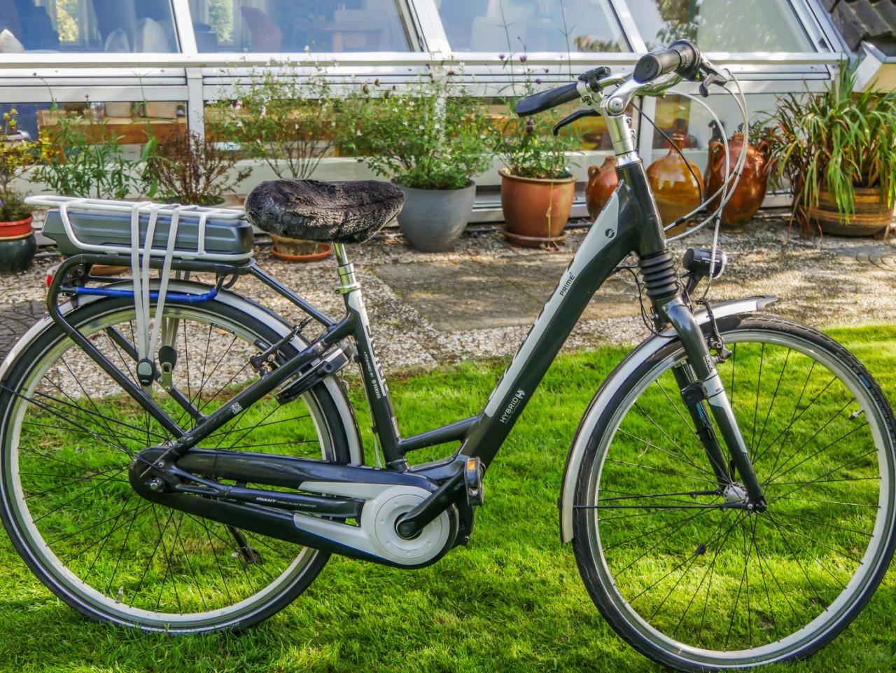 Elektrische fiets Giant Prime