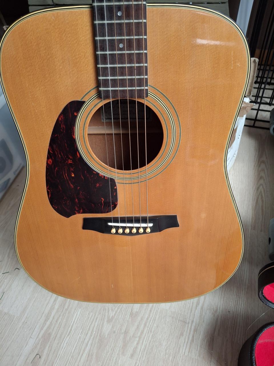 Ibanez v300
