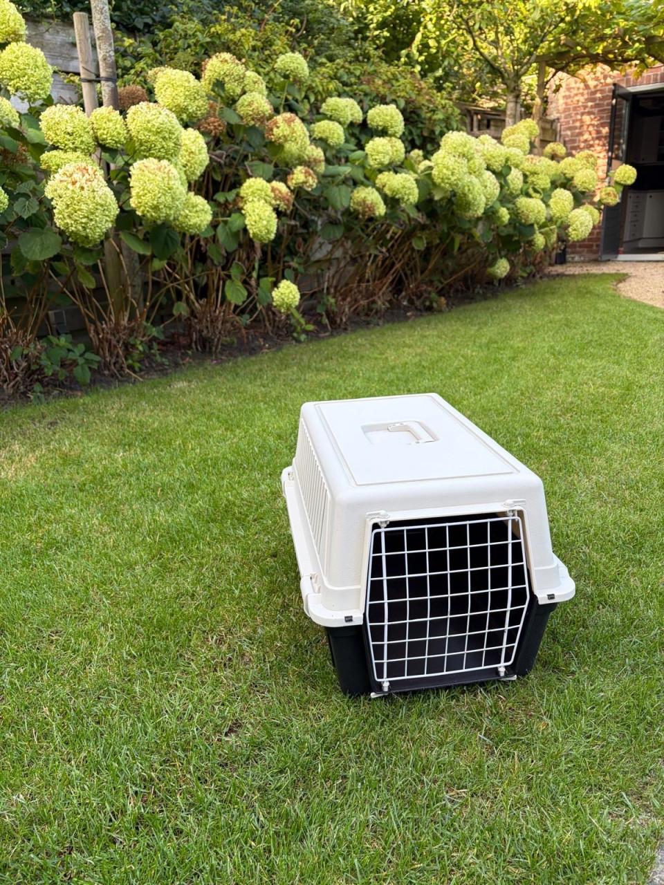 Transportbox voor kleine huisdieren
