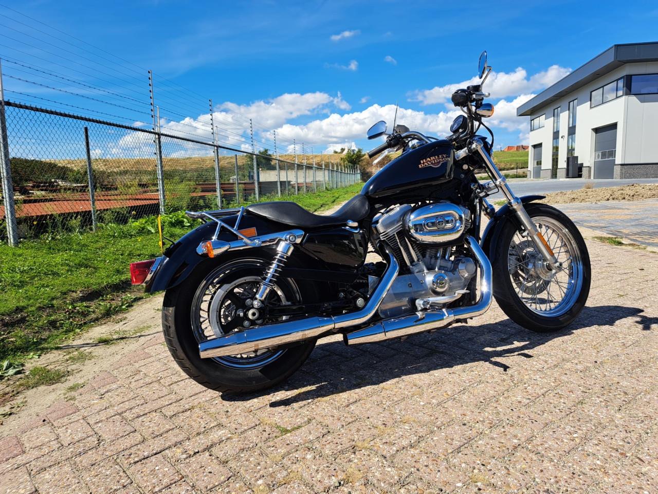 Harley Davidson Sportster 883 Low