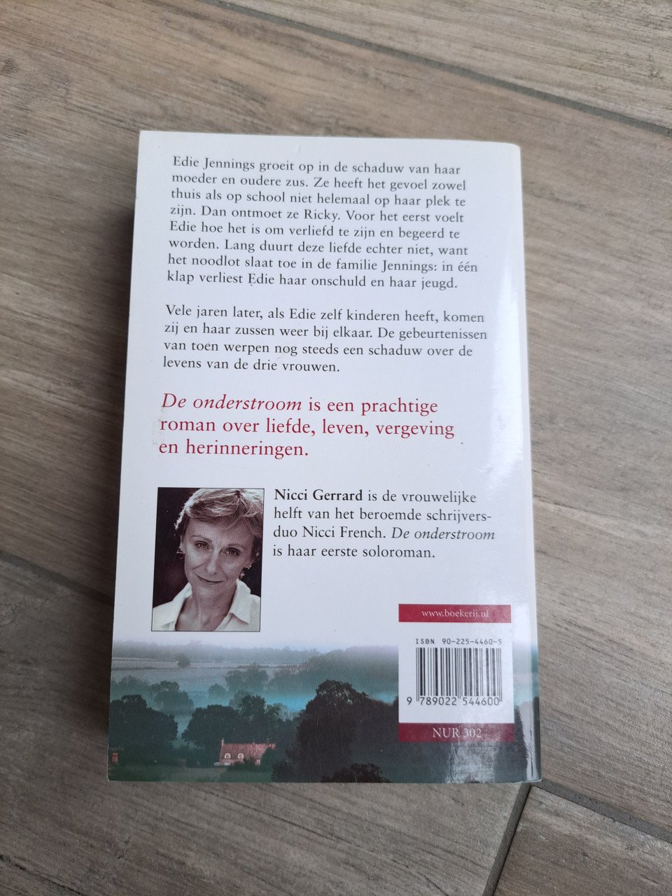 Roman De onderstroom van Nicci Gerrard
