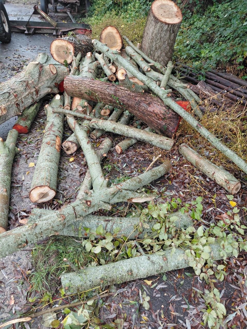 Haardhout