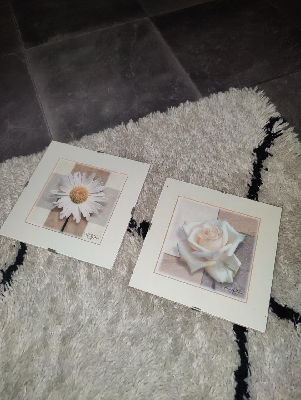 Schilderij 1x1m + gratis kleine lijsten