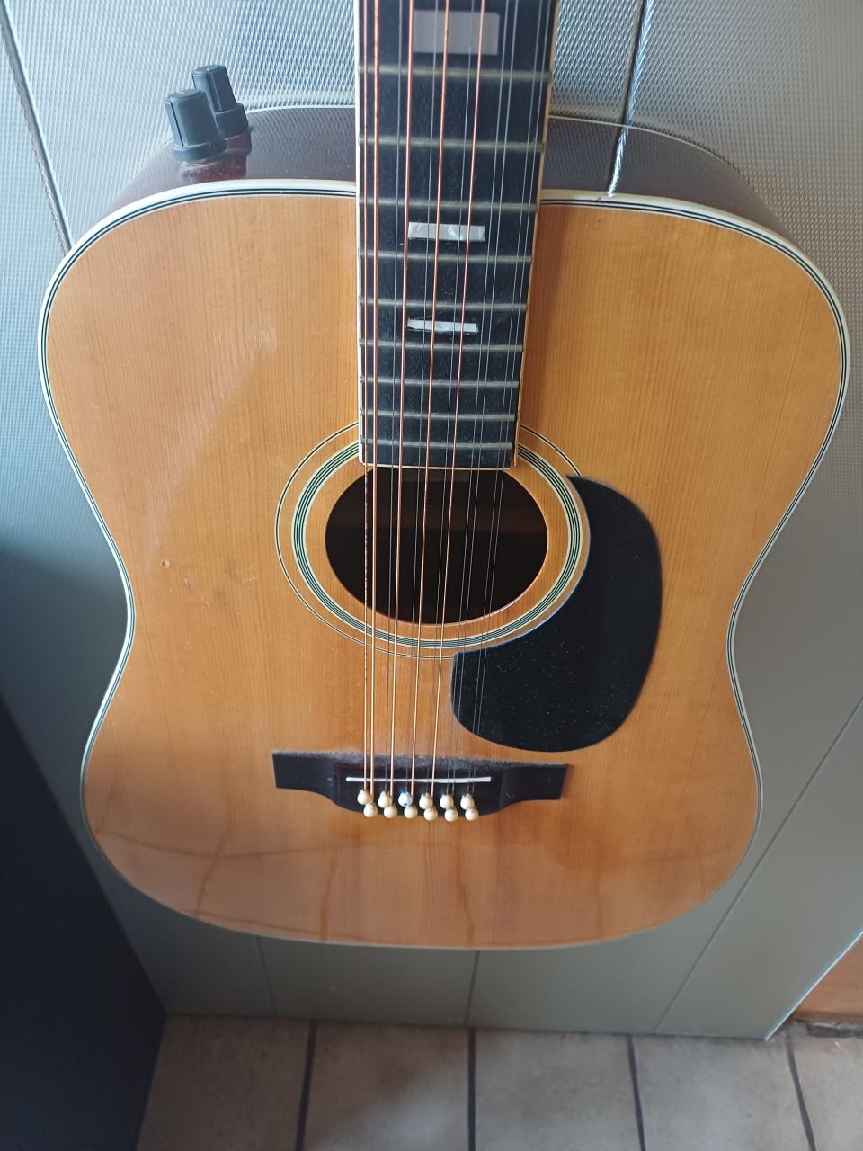 12 sn gitaar landola