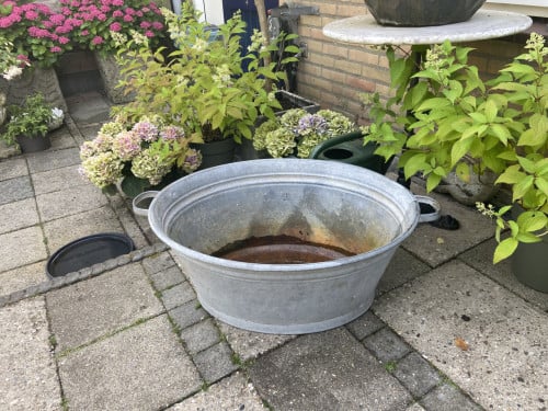 Zinken teil