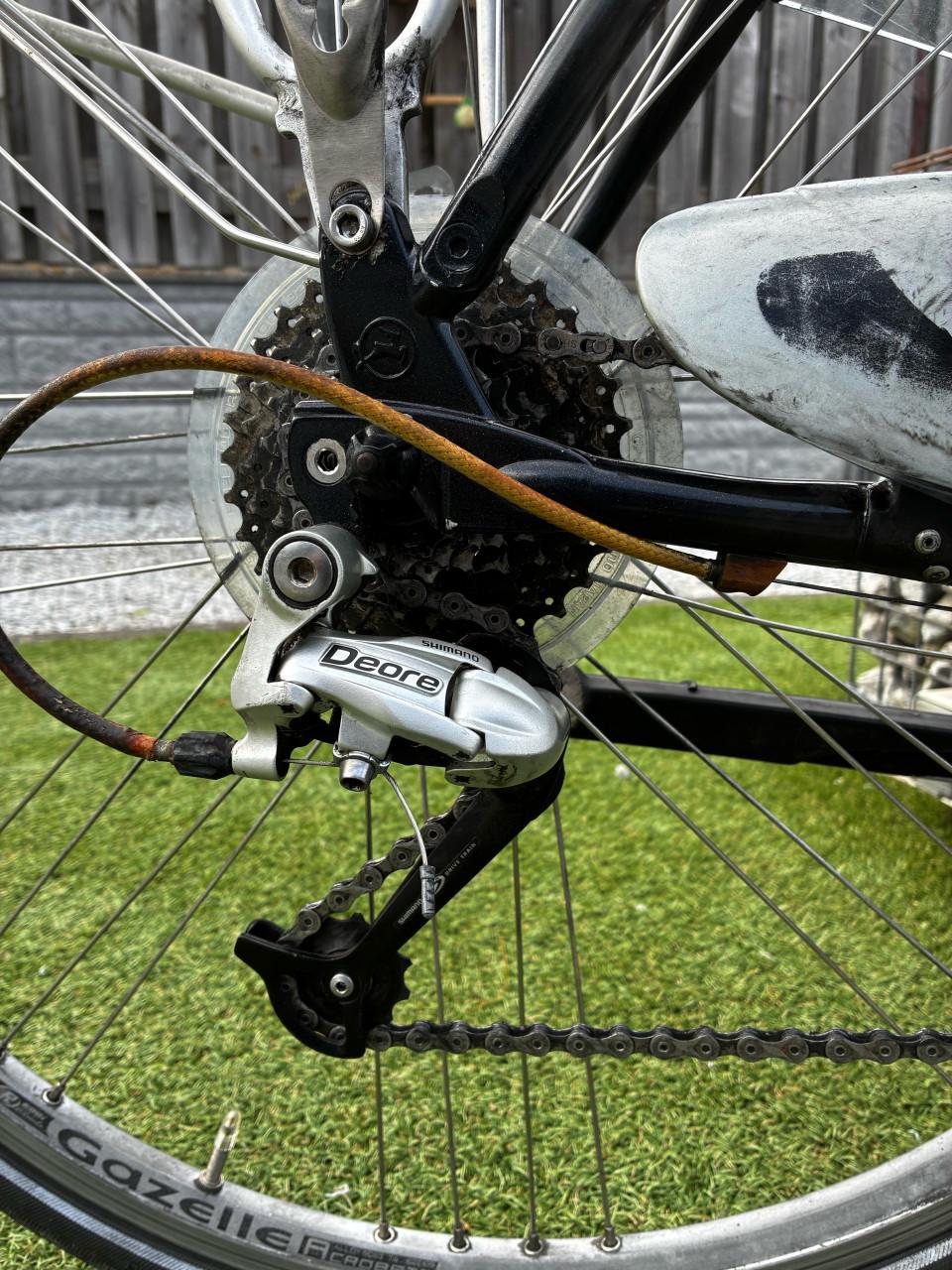 Gazelle LiteLine herenfiets - Full carbon, Shimano Deore 57