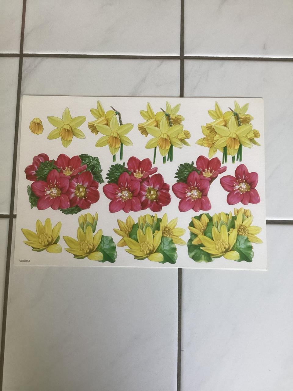 24 knipvellen bloemen