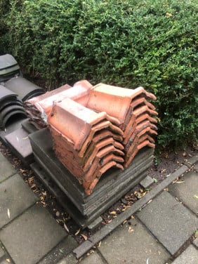 Nokvorsten (diverse types)