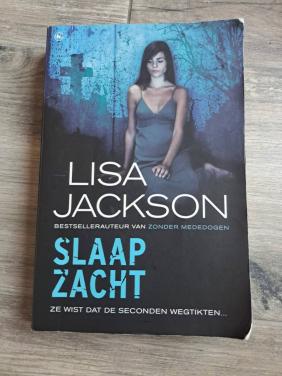 Thriller Slaap zacht Lisa Jackson