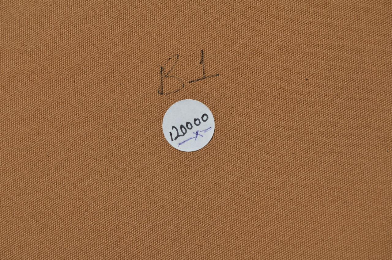 Prachtig acrylverf Wycliffe Ndwiga Keniaans kunstenaar