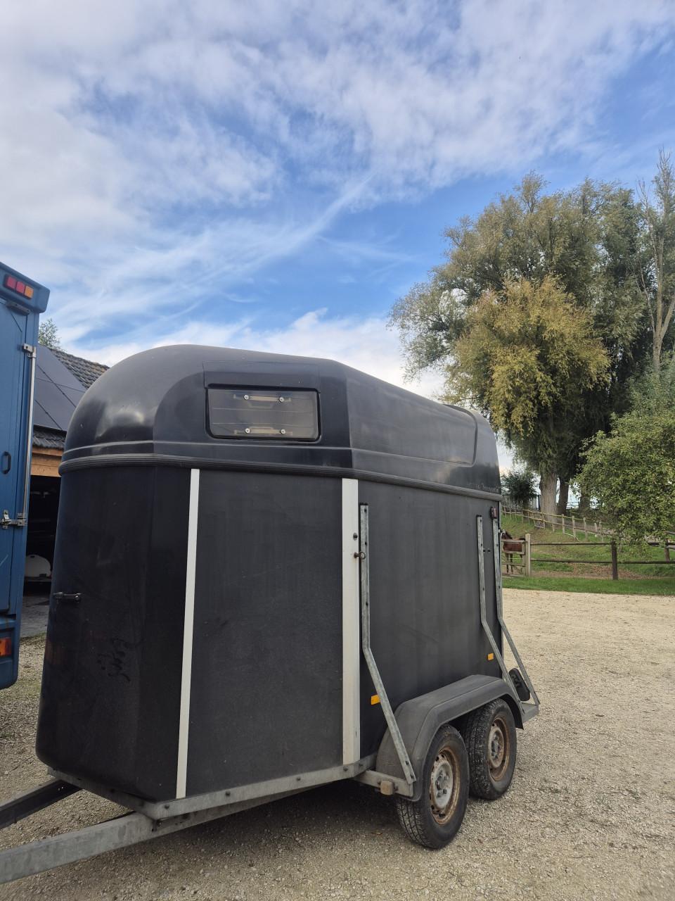 Paarden trailer te koop