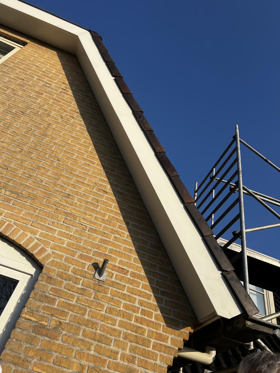 Hout rot sanering/ timmerwerk