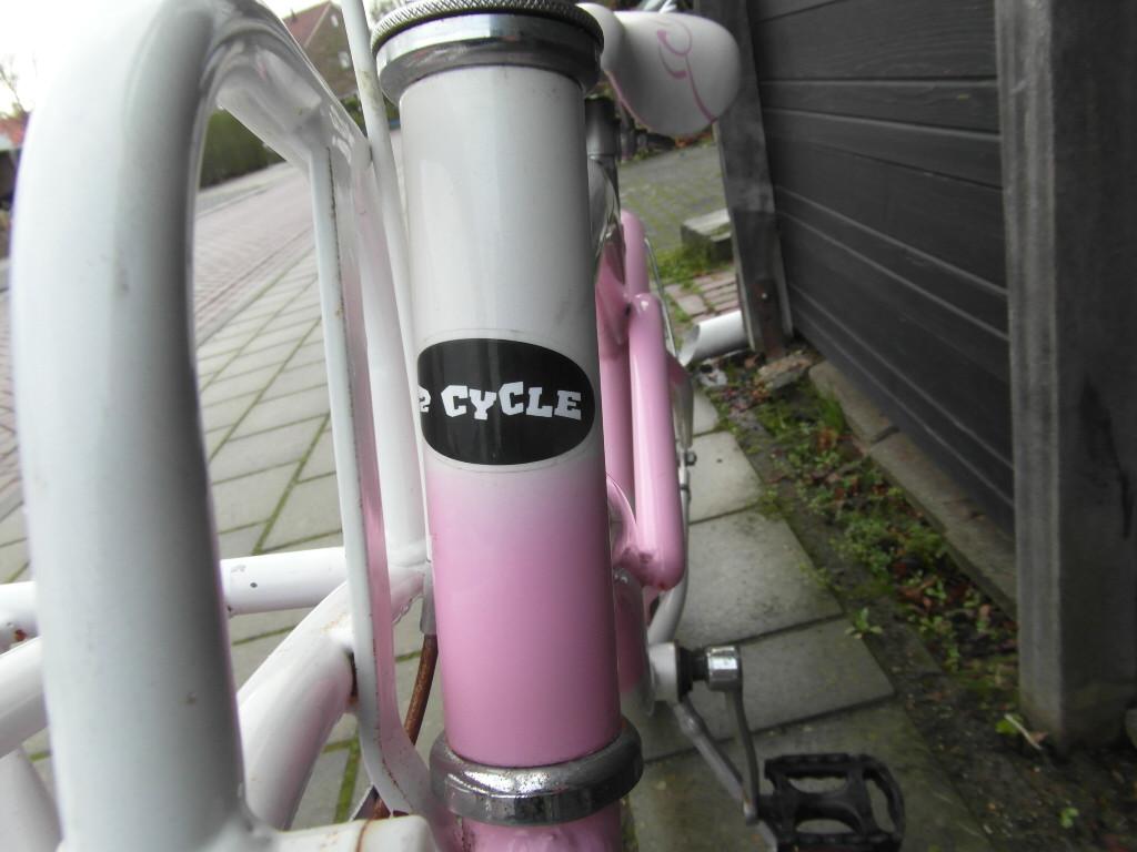 Mooie  2 cycle meisjesfiets ( 20 inch)