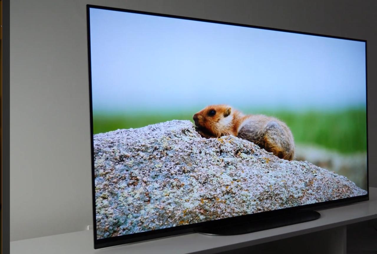 Sony Oled 48 inch 122cm 100HZ 4K Ultra UHD SMART-Android tv