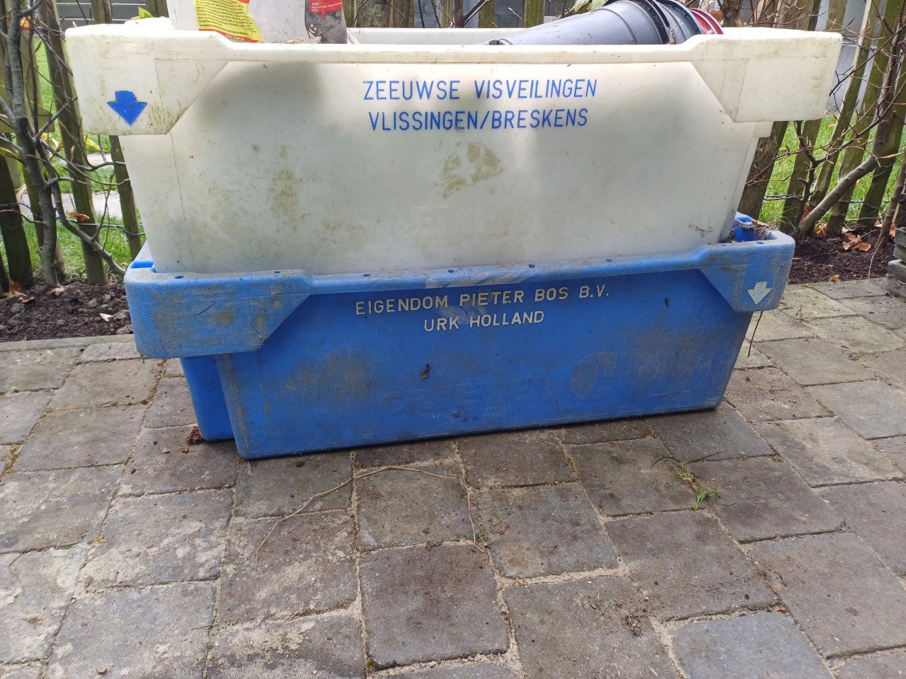 Vis kisten