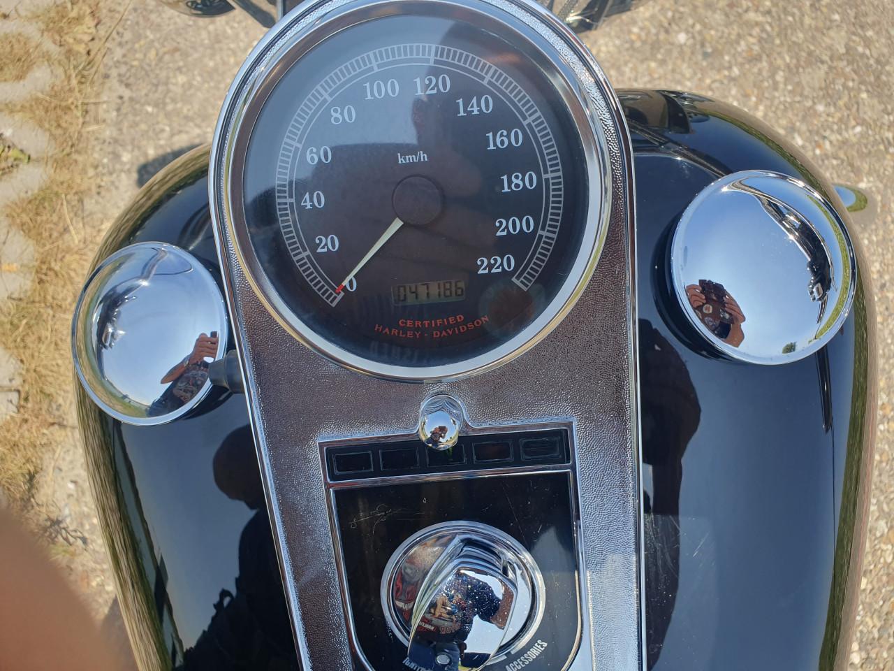Harley- Davidson
