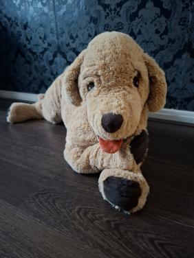 Golden retriever hond knuffel