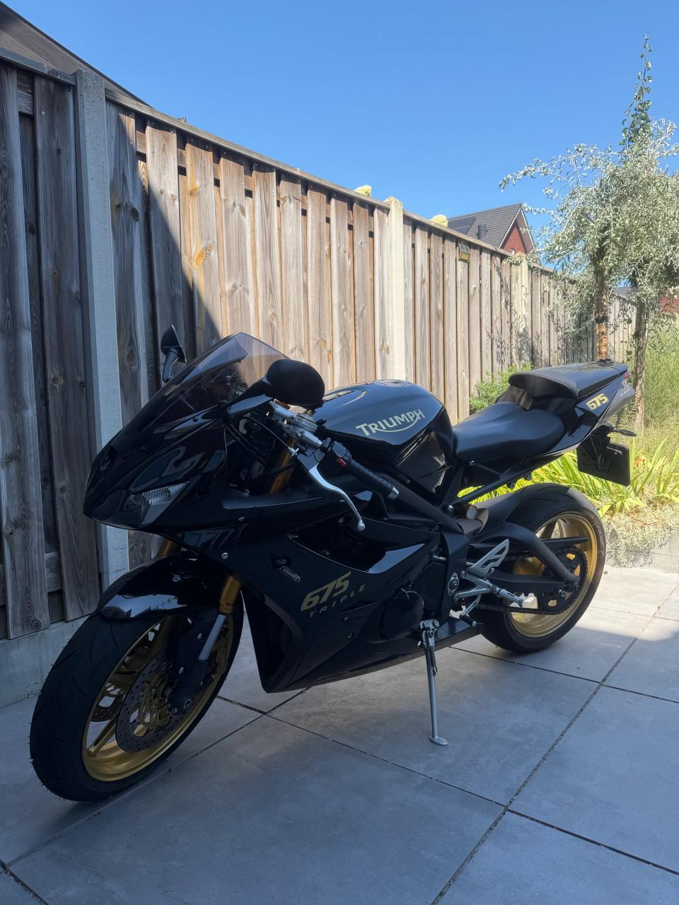 Triumph Triple 675 “Daytona” SE (Special)
