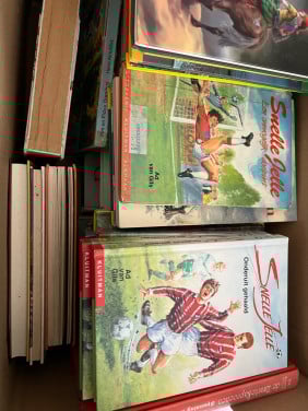 Ca. 40 boeken van Snelle Jelle tot Dik Trom