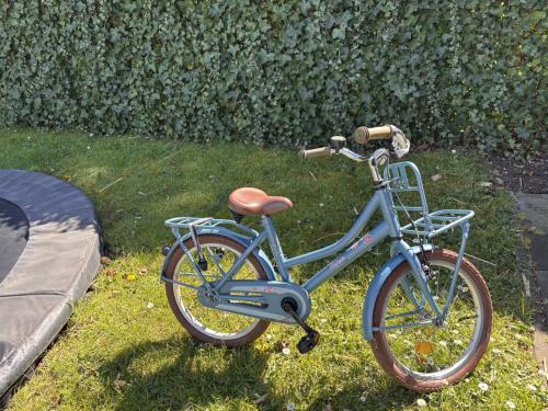 Kinderfiets alpina 18 inch